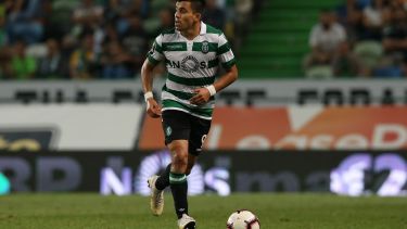 El zapalino vive un buen presente en Portugal.