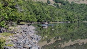 Lumabia, el paraíso escondido en la cordillera del norte neuquino