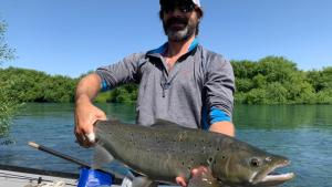 La trucha soñada: una marrón de 7 kilos en el río Limay