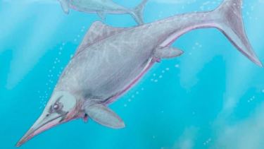 Ilustración de un ictiosaurio. Autor Dmitry Bogdanov. Foto: gentileza