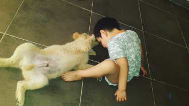 Toto, tiene cuatro mees y desaapareció en Valentina Norte Rural. Foto: gentileza 