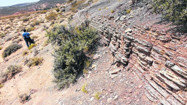 Alberto Garrido, director del Museo Olsacher de Zapala, explica que no es la única capa geólica al aire libre en Neuquén. (FOTOS: Florencia Salto)