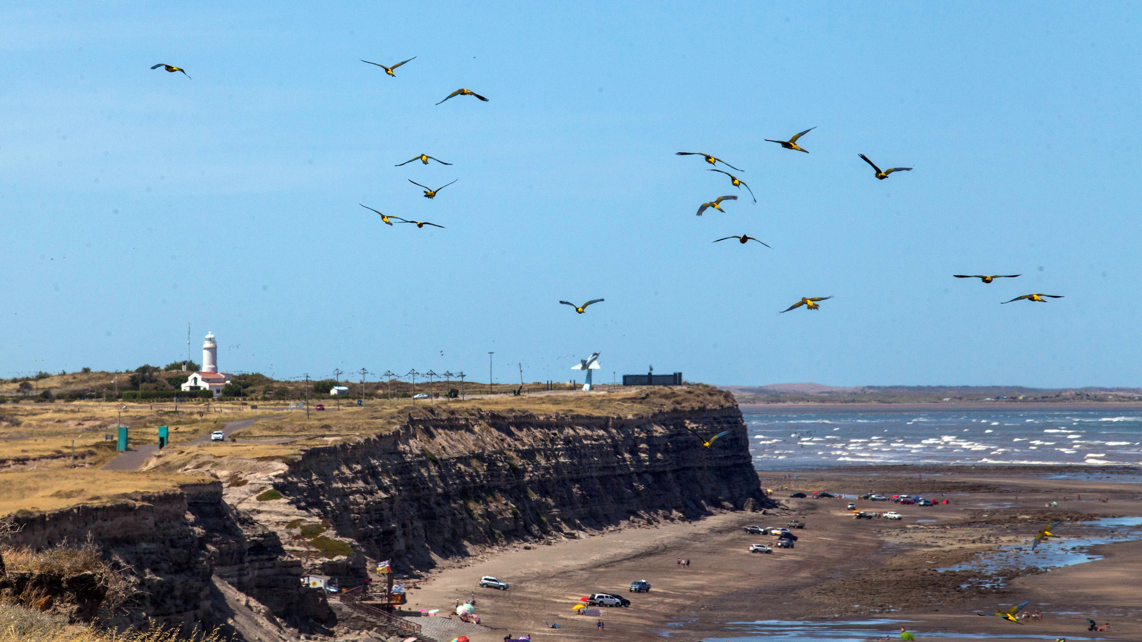 El Camino de la Costa de Viedma a Bahía Creek, un viaje inolvidable