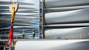 El parque estará ubicado en Santa Cruz 