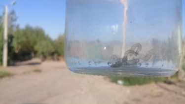 El hallazgo se habría producido en la toma 7 de mayo. (Foto: Gentileza Canal 10.-)