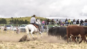 Último día para disfrutar de la Expo Rural de Bariloche