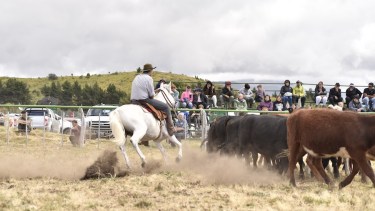 La Expo Rural de Bariloche culmina hoy, con una extensa jornada de actividades. Gentileza