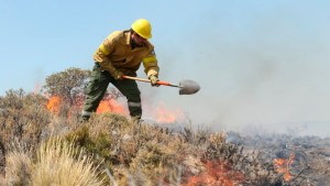 Controlaron el enorme incendio que estuvo cerca de la ruta a la cordillera