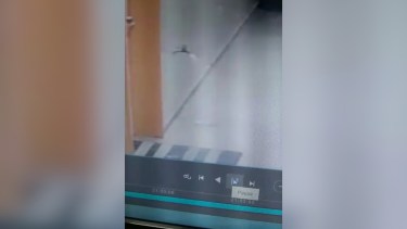 (Gentileza Miguel Ángel Parra)