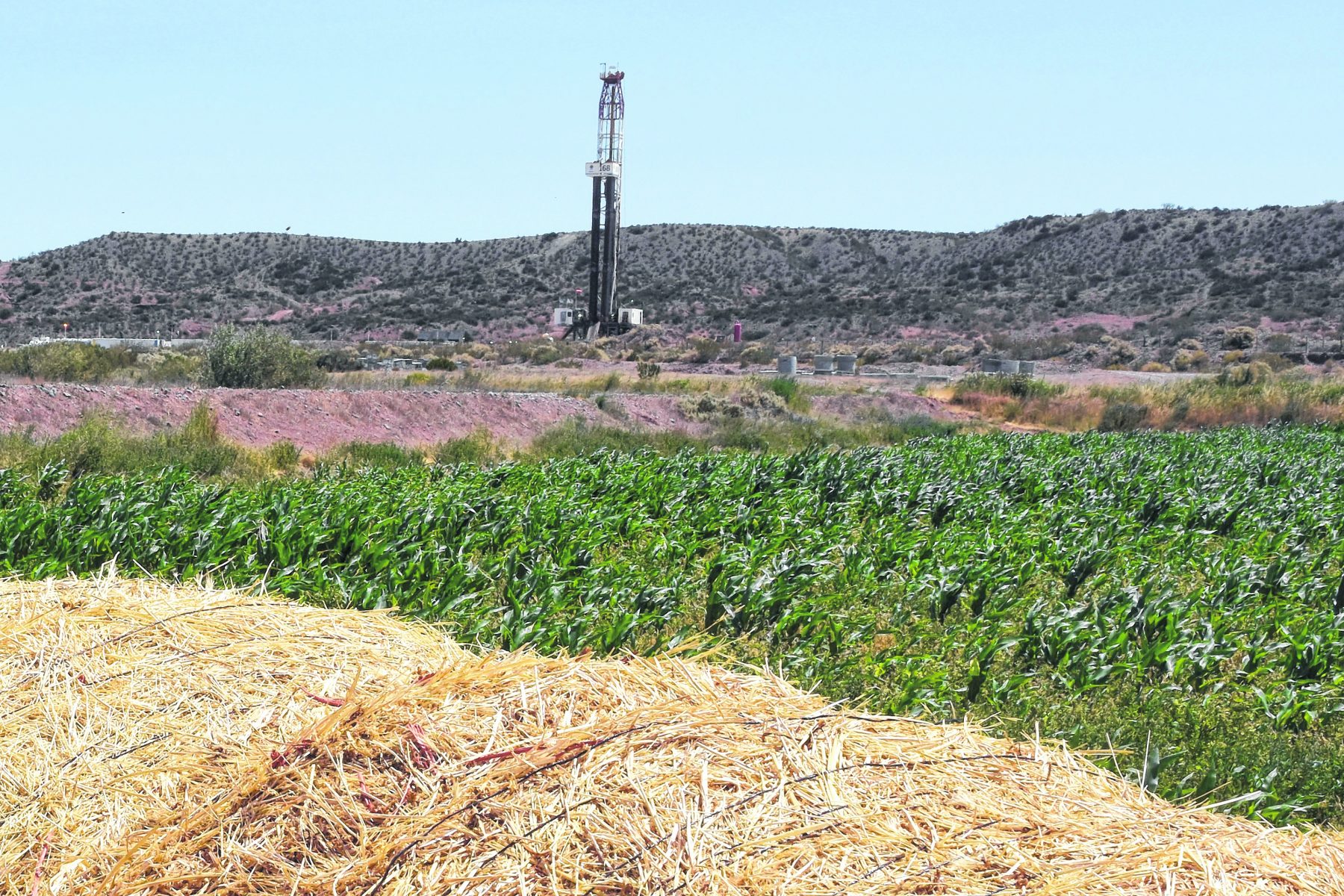 El reto de la diversificación productiva, de regreso en Neuquén
