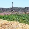 Imagen de El reto de la diversificación productiva, de regreso en Neuquén