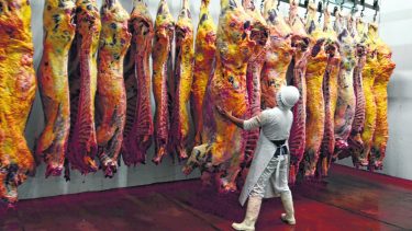 Se podrá ingresar carne con hueso a la Patagonia. Foto: archivo.