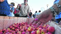 Imagen de Fiesta de la Manzana, su museo y la  importancia de la celebración popular