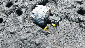 Hallaron dos granadas de mano sin detonar cerca de la ría de SAO