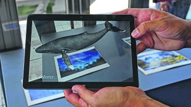 La visualización de mucha más información relativa a las coleccciones será posible a través de dispositivos móviles. (Foto: Emiliana Cantera)