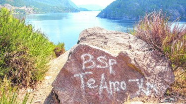 El lago Lácar y una triste postal. Foto: Patricio Rodríguez