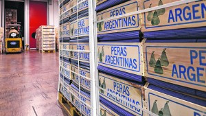 Por carpocapsa, Brasil rechazó un camión de fruta del Valle