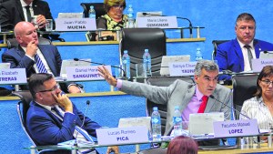 El proyecto vuelve rápido al recinto y en Río Negro habrá juzgado electoral