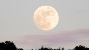Luna de Nieve: qué es y cuándo vas a poder verla en Argentina