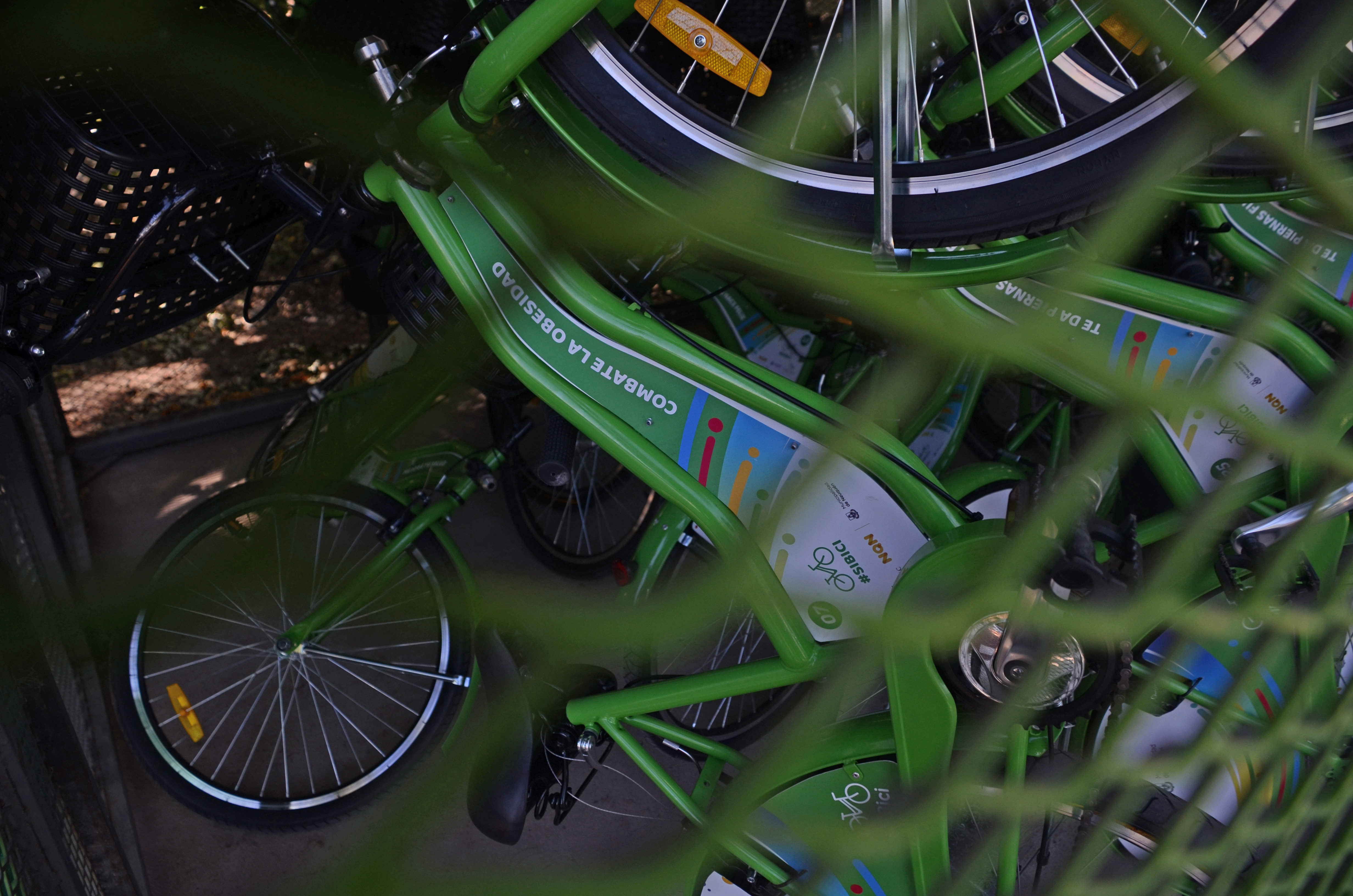 Las bicicletas SiBici podrán utilizarse durante la Fiesta de  la Confluencia. Foto: Juan Thomes 