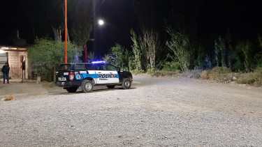 La Policía Federal secuestró plantas de marihuana en Cipolletti. (Foto: Gentileza)