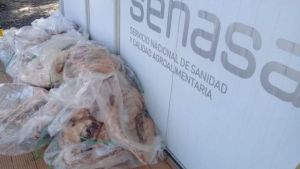 Denuncian a gendarmes por robar carne decomisada