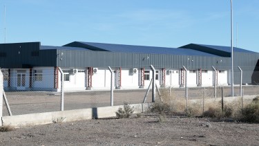 En Bariloche se hizo el proceso de eviscerado. Foto: archivo.