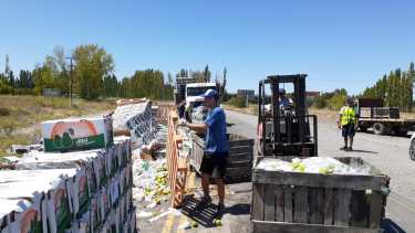 Un camión volcó su carga sobre Ruta 22 cerca de Cervantes