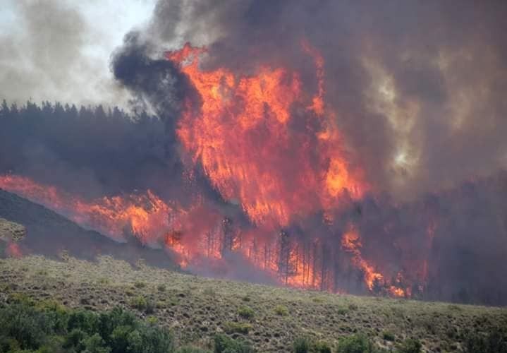 El incendio se produjo en el Cerro Corfone. (Foto: Gentileza FM Cordillerana.-)
