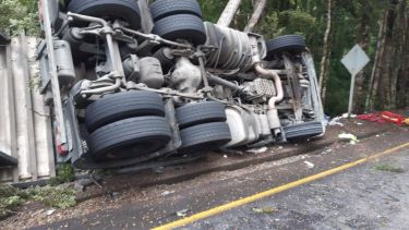 El camión chileno transportaba salmones. Volvó a unos 5 kilómetros del paso fronterizo. Gentileza Cooperativa.cl
