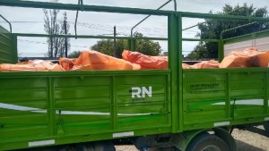 Se realizó la campaña de recolección de envases de agroquímicos en el Valle Inferior