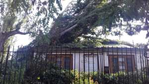 Plaza Huincul declaró la emergencia climática y social por la tormenta