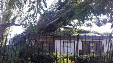 El fuerte viento desprendió techos de varias casas.