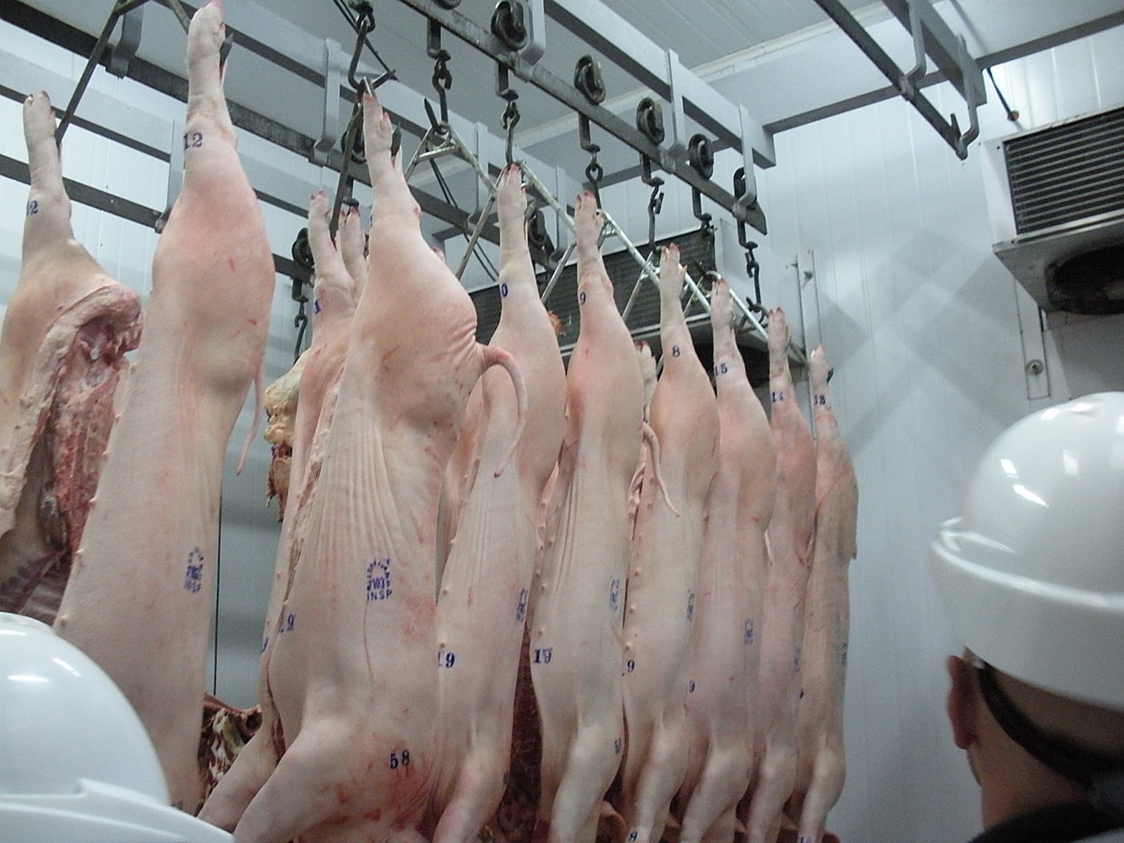 La demanda de carne porcina en el país se estancó este último tiempo. 