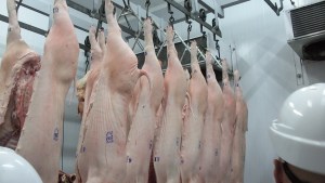 Argentina insólita: carne que llega desde Dinamarca es vendida aquí a la mitad de lo que vale la nuestra