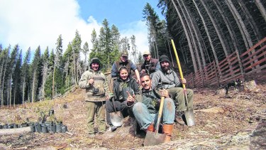 Después de un siglo de desarrollo los árboles de Isla Victoria están consolidados como una reserva. Foto: gentileza