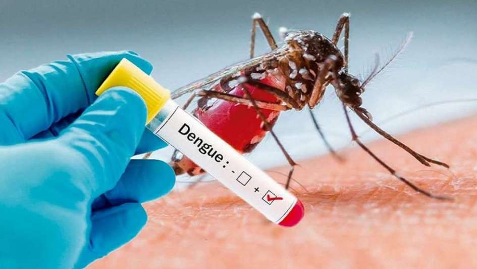 Fuerte suba de los casos de dengue: hay más de 25 mil a nivel nacional