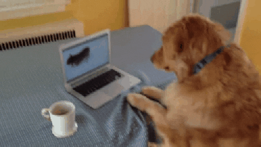 Pronóstico: así empieza a despedirse febrero en la región