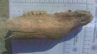 Esta fue "la mandíbula" encontrada en la barda. La familia solicitó que los restos sean sometidos a estudios por parte de los peritos.