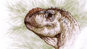Hallaron este dinosaurio carnívoro que habitó la Patagonia hace 90 millones de años