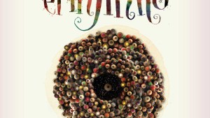 Pablo Bernasconi trae a Bariloche su muestra interactiva «El infinito»