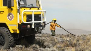 Incendio: 3 mil hectáreas afectadas en cercanías de Piedra del Águila
