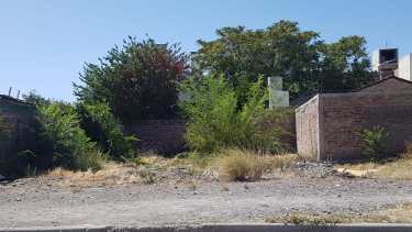 Intiman a los dueños de baldíos para que los limpien. (Foto Néstor Salas)