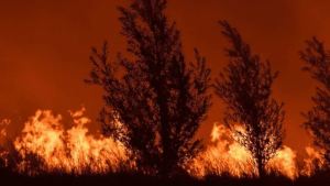 Incendios en Puerto Madryn: pidieron la «evacuación total» de la zona afectada