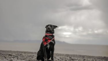 Que las nubes no arruinen tus planes y aprovechá para sacarte unas buenas fotos.