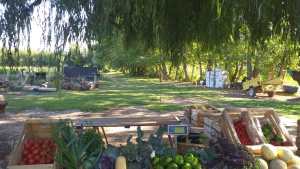 Vista Alegre: el oasis agroecológico que crearon Mónica y Martín y que hay que conocer