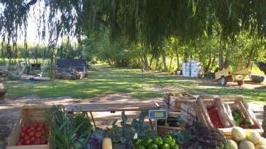 Vista Alegre: el oasis agroecológico que crearon Mónica y Martín y que hay que conocer