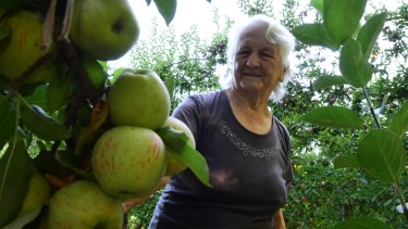 La chacarera de Roca que demostró que la fruticultura “no es cosa de hombres”. Foto: Cesar Izza