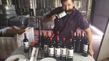 Tero Rengo, el vino orgullo de San Patricio del Chañar