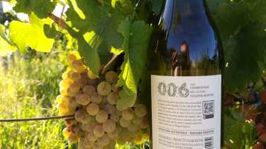 Bodega Aniello lanza el primer vino argentino que habla